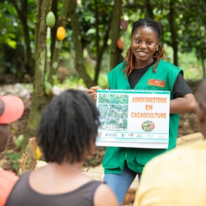 Protecting and restoring West Africa’s Cavally Forest