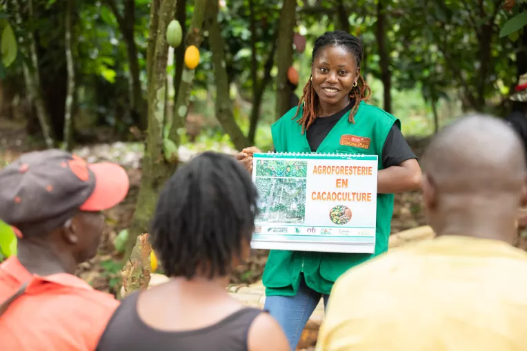 Protecting and restoring West Africa’s Cavally Forest